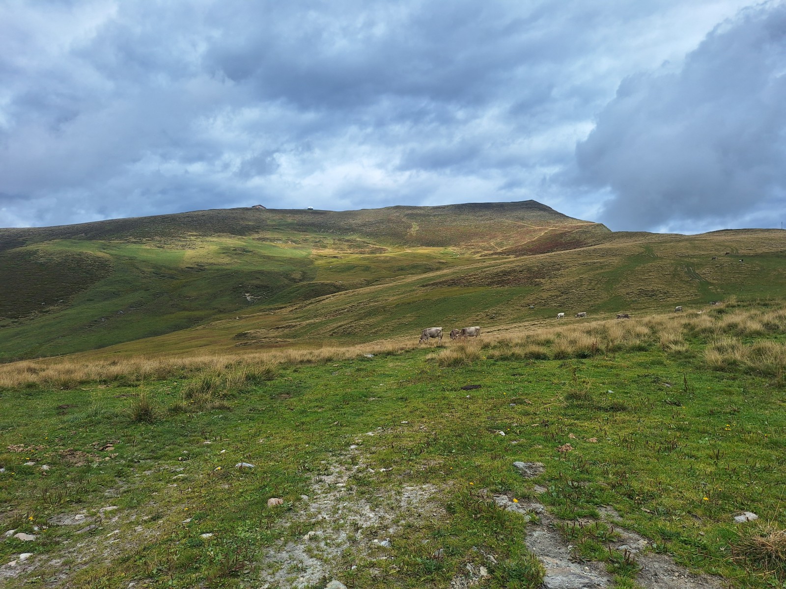 Foto zum Beitrag «around obersaxen»