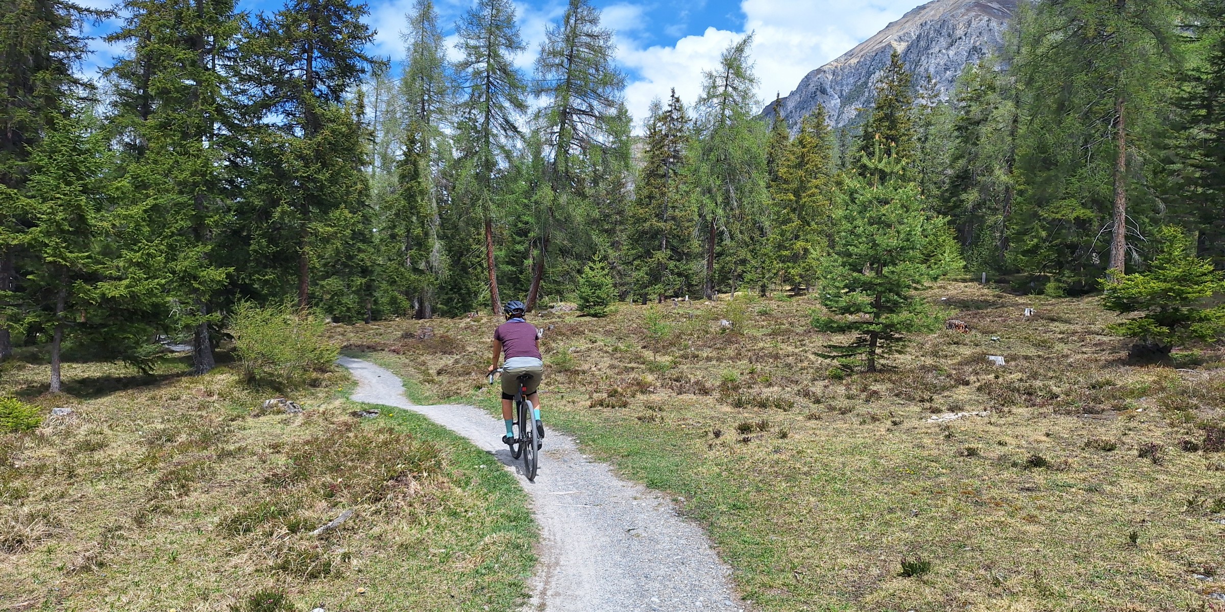 Foto zum Beitrag «bergün -chur»