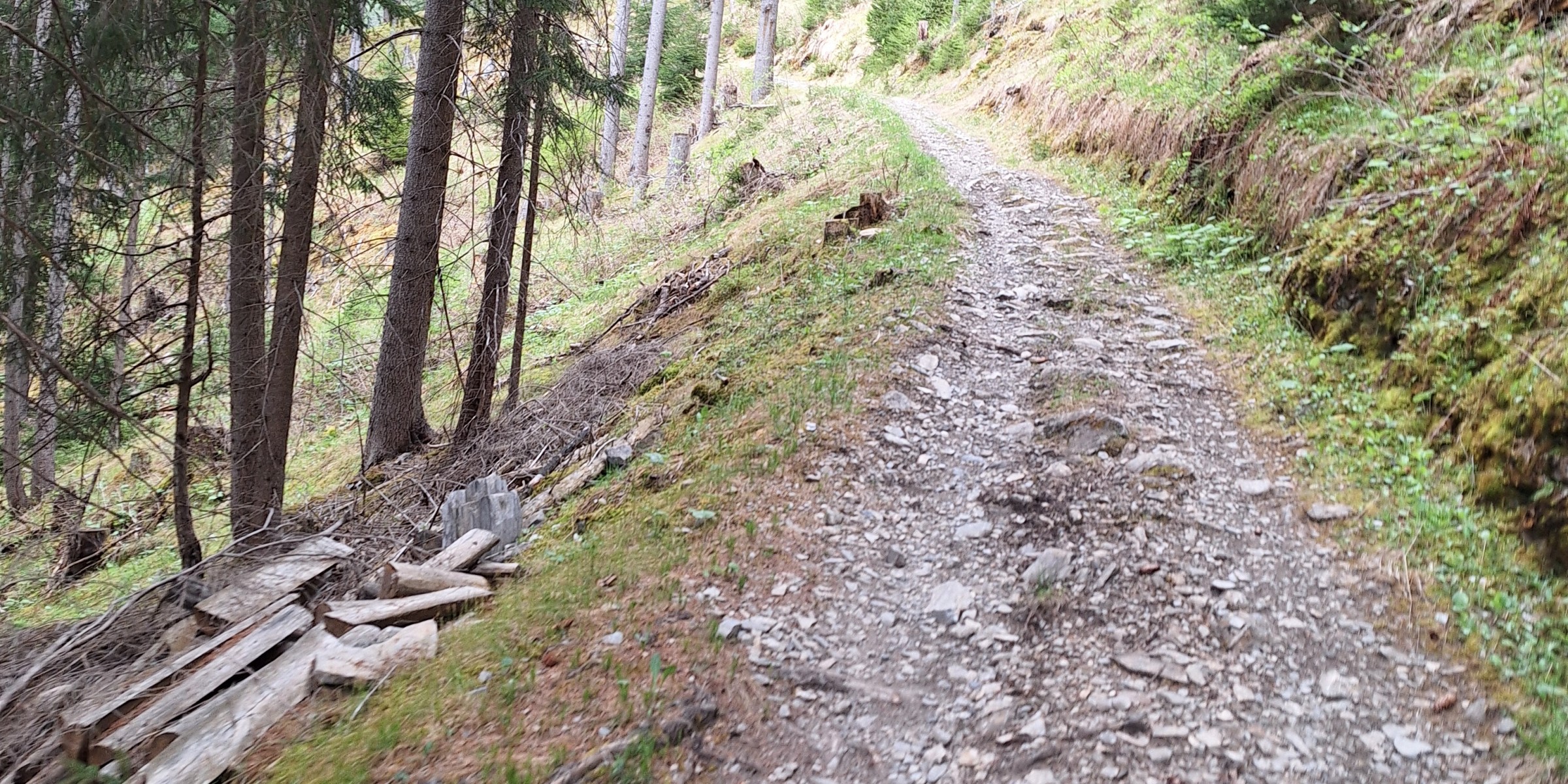 Foto zum Beitrag «chur -bergün»