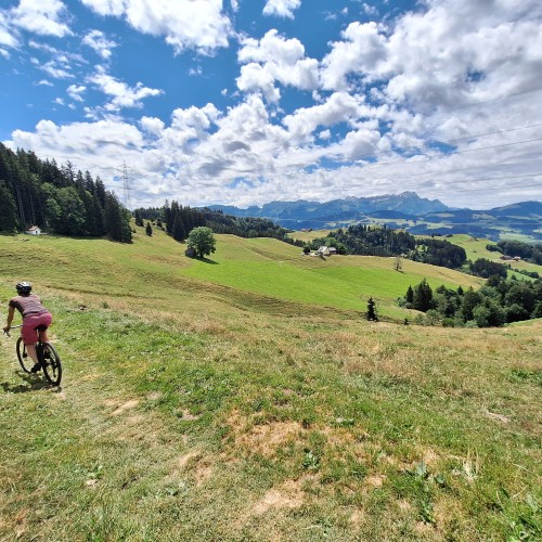 Teaserfoto zum Beitrag «dahoam»