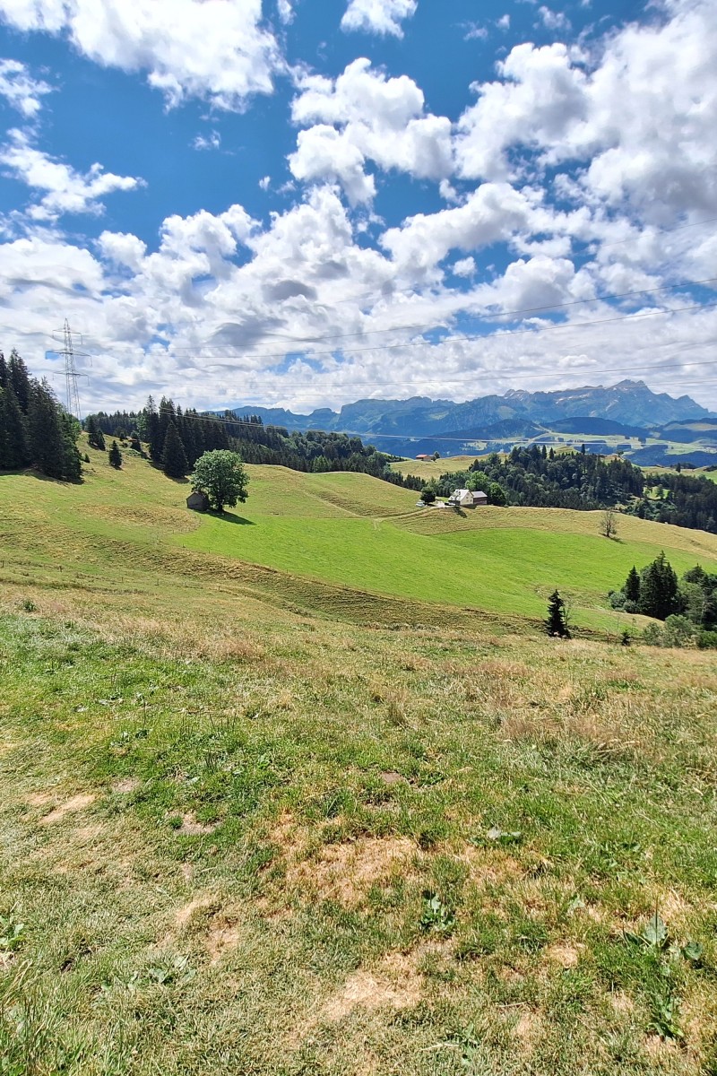 Foto zum Beitrag «dahoam»