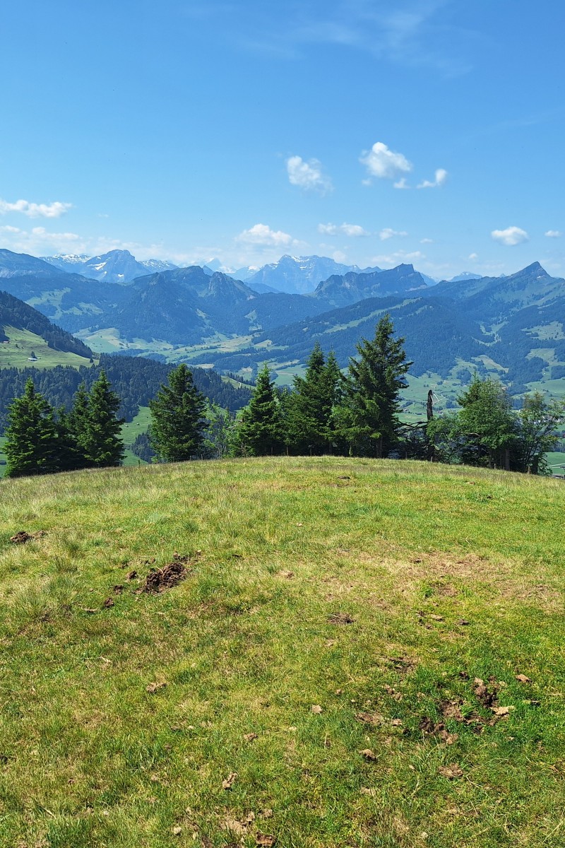 Foto zum Beitrag «hinterfallenchopf»
