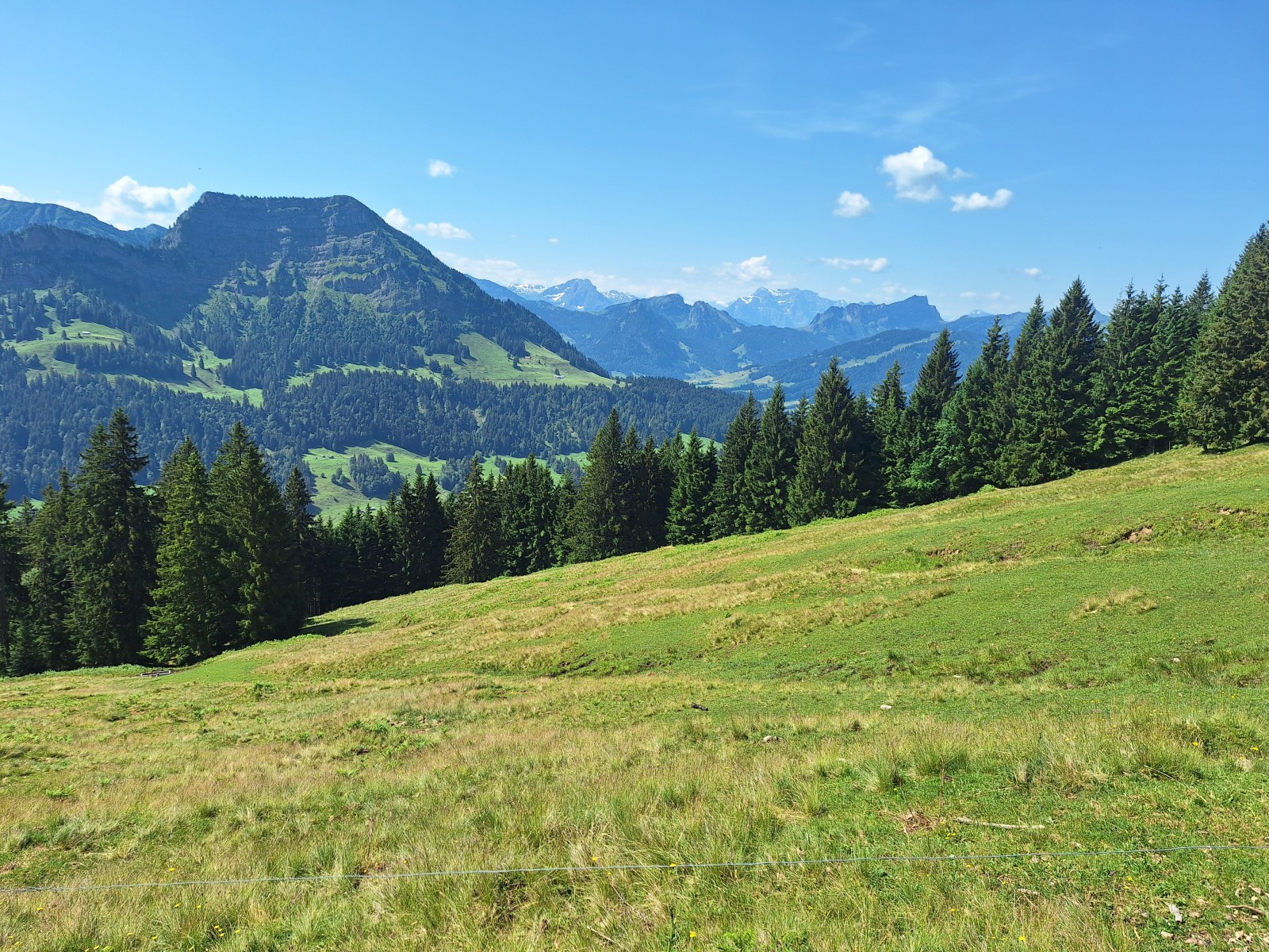 Foto zum Beitrag «hinterfallenchopf»