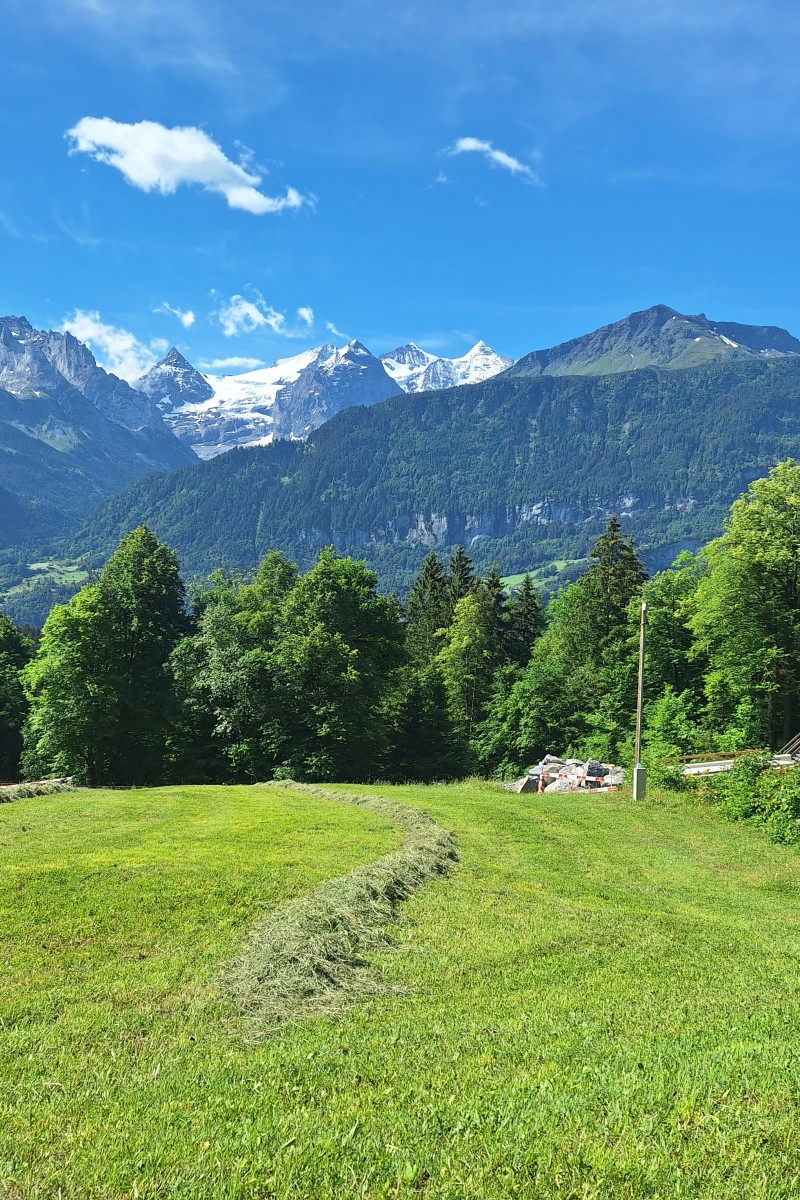 Foto zum Beitrag «interlaken luzerrn»