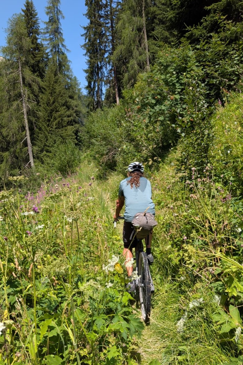 Foto zum Beitrag «lenz -landwasser»