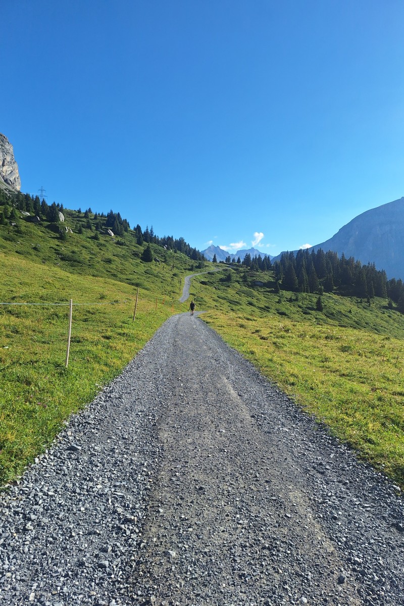 Foto zum Beitrag «men on a mission 4»