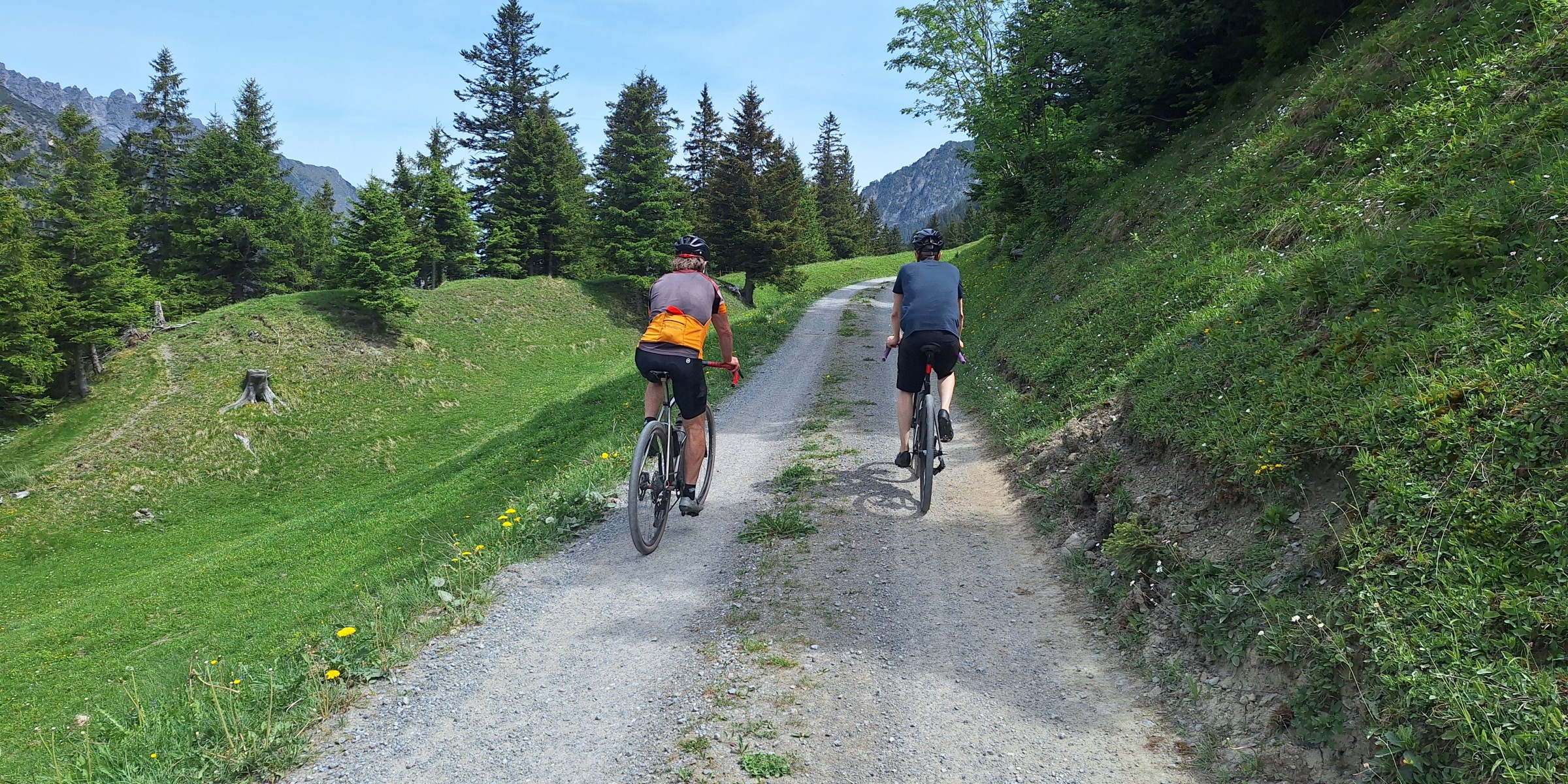 Foto zum Beitrag «schönberg»
