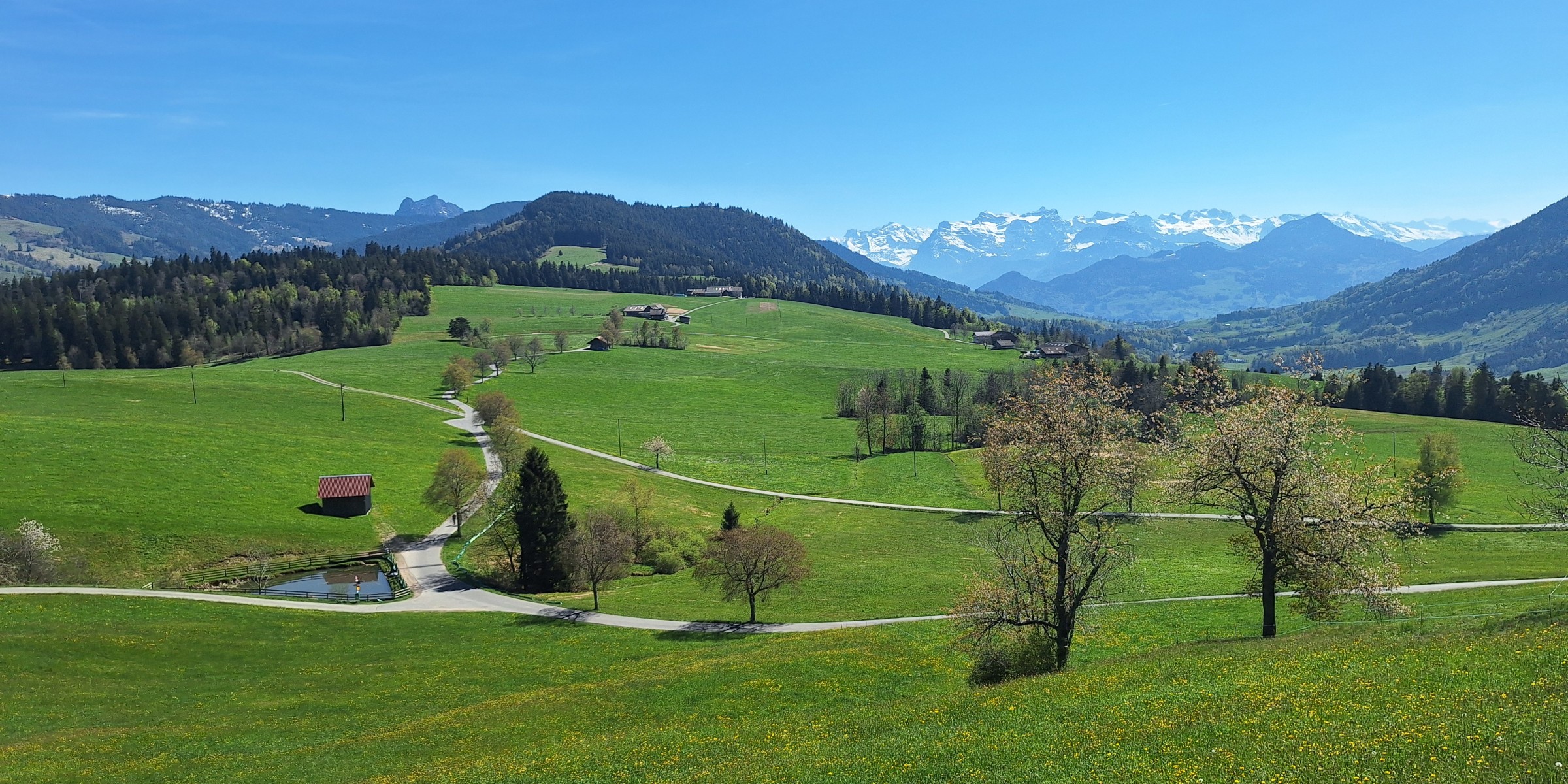 Foto zum Beitrag «sightseeing im frühling»