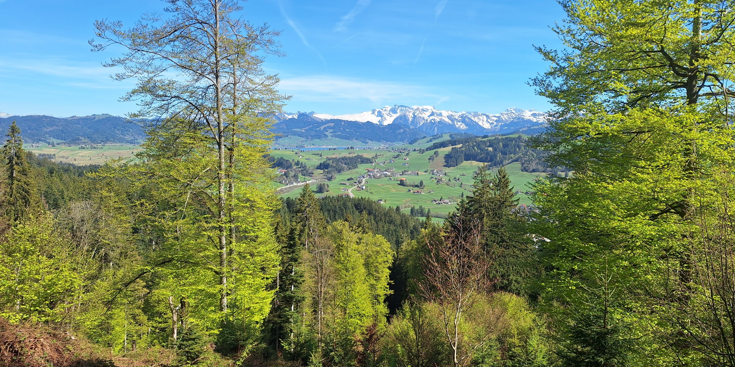 Foto zum Beitrag «sightseeing im frühling»
