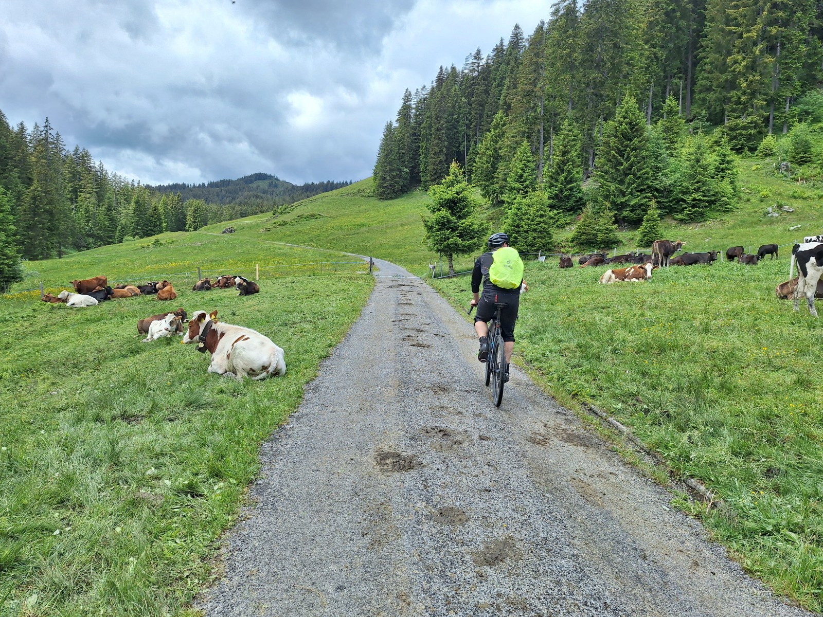Foto zum Beitrag «st.gallen interlaken»