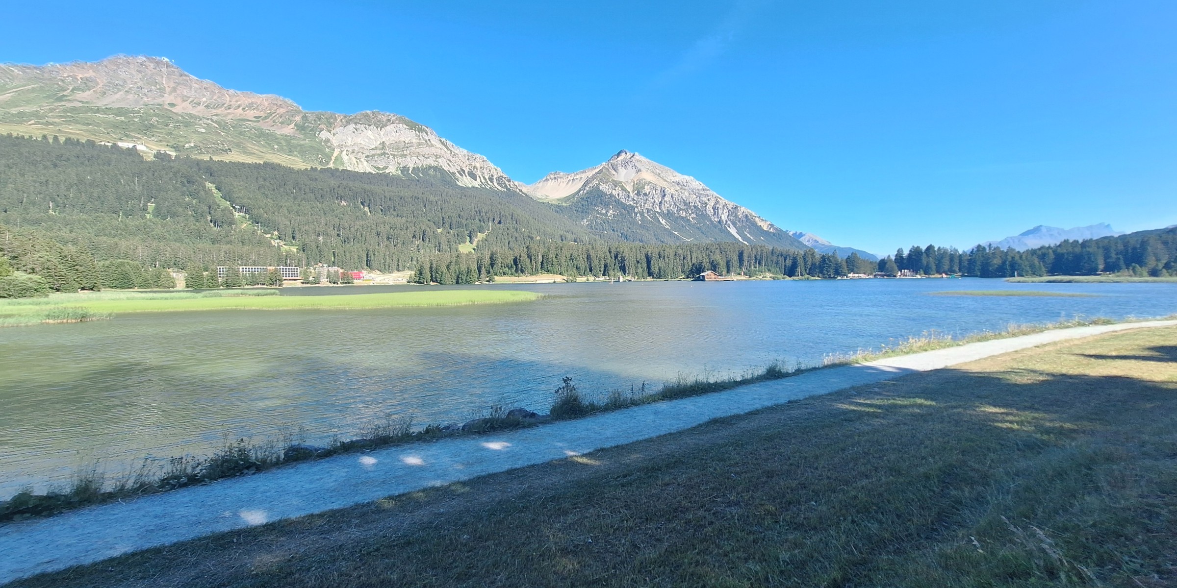 Foto zum Beitrag «st.gallen lenzerheide»