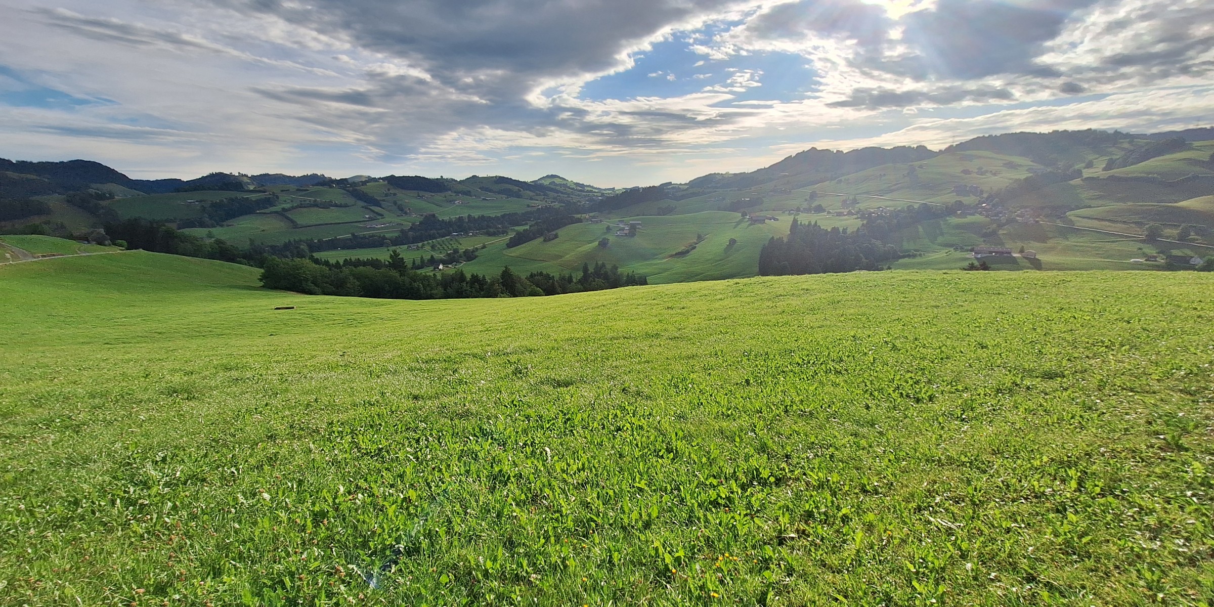 Foto zum Beitrag «tanzboden»