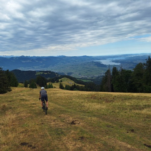 Teaserfoto zum Beitrag «tanzboden»