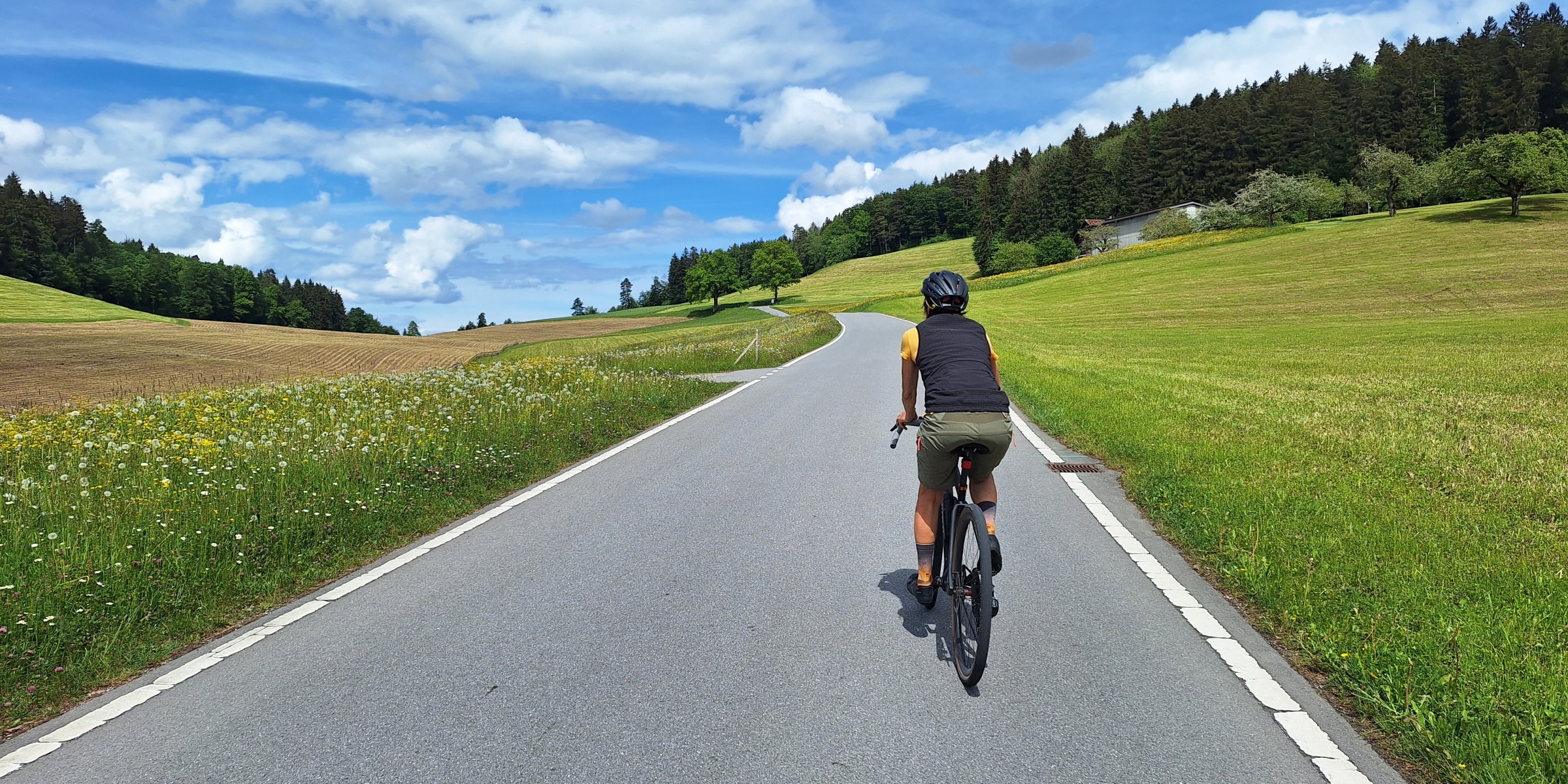 Foto zum Beitrag «toggenburg retour»