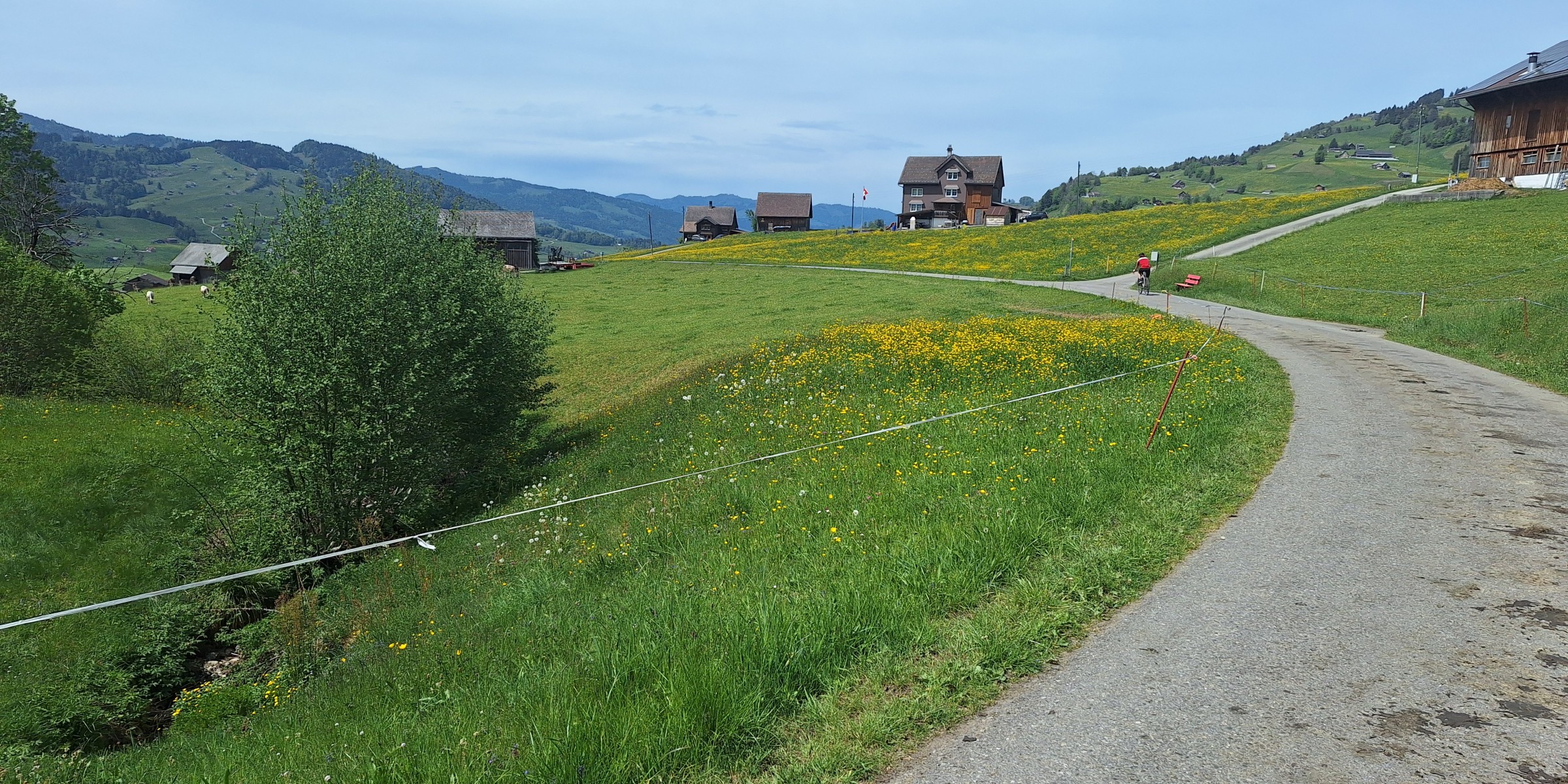 Foto zum Beitrag «um dä stockberg»