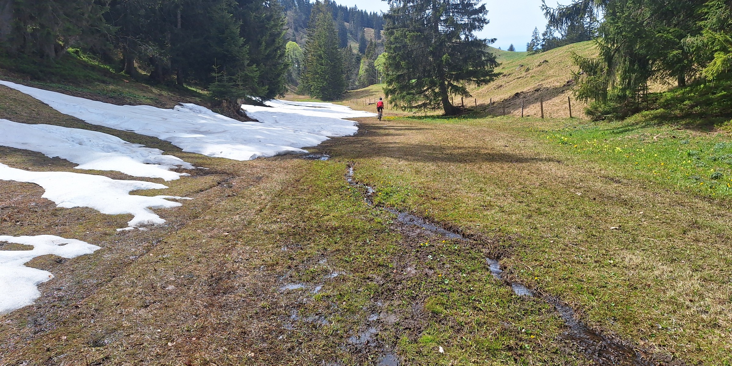Foto zum Beitrag «um dä stockberg»