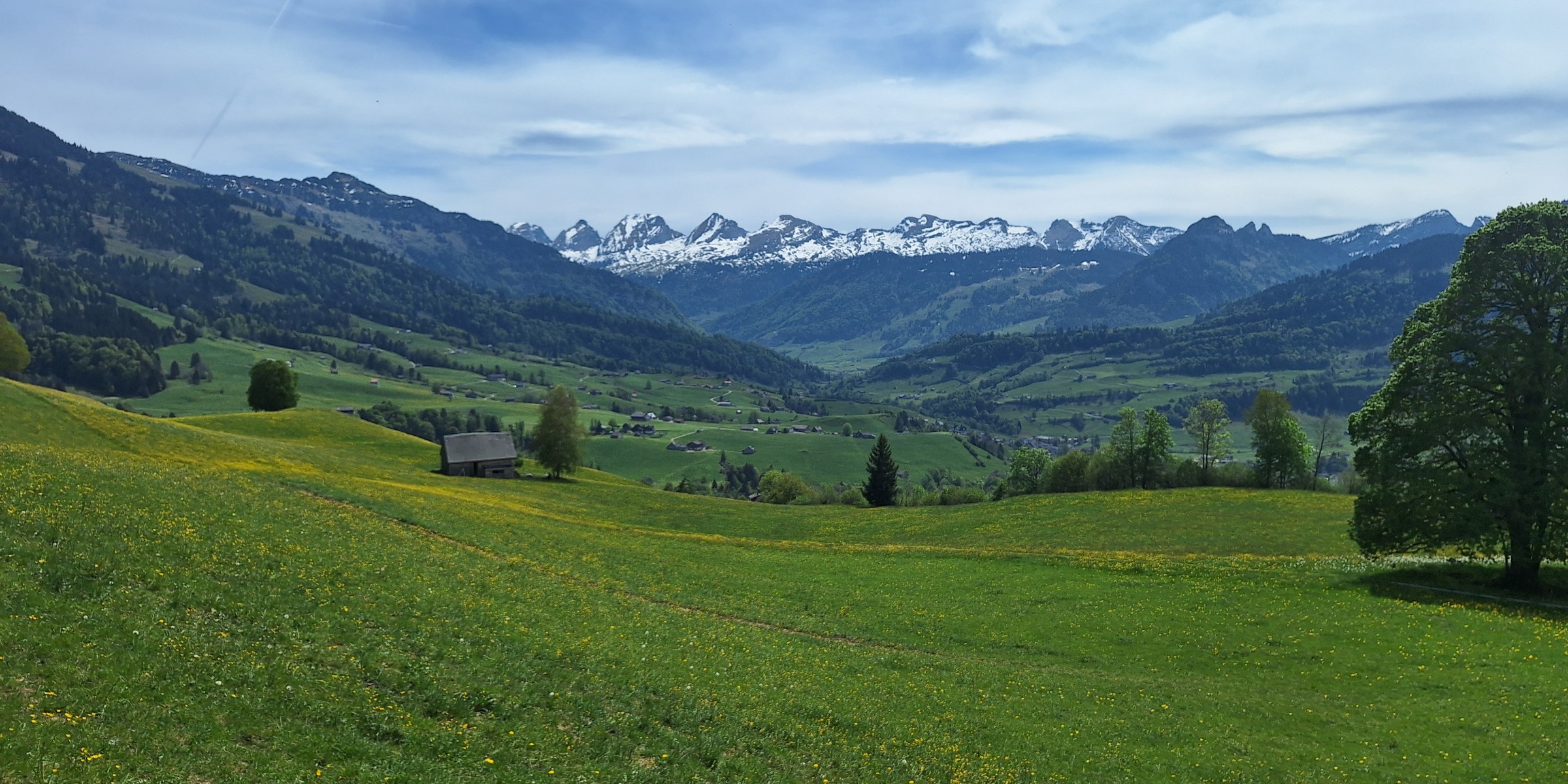 Foto zum Beitrag «um dä stockberg»
