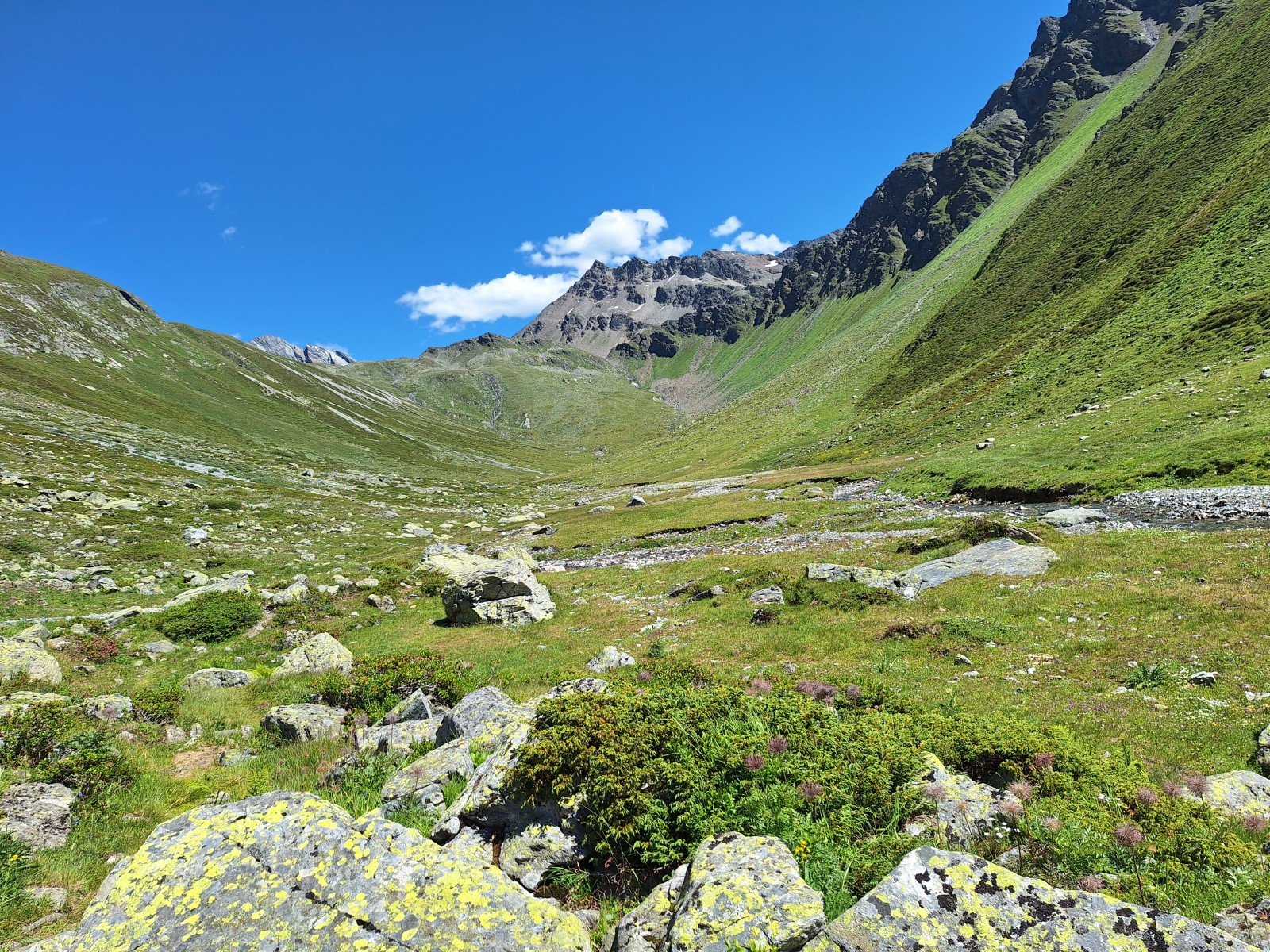 Foto zum Beitrag «vereina»