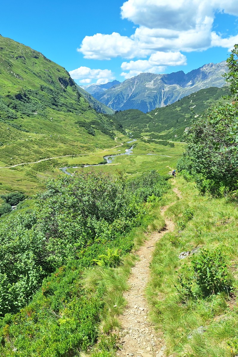 Foto zum Beitrag «vereina»