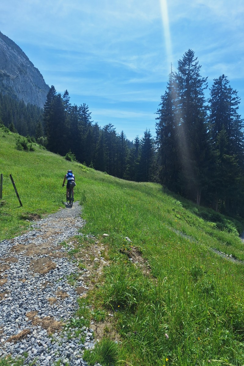 Foto zum Beitrag «weekender 1»