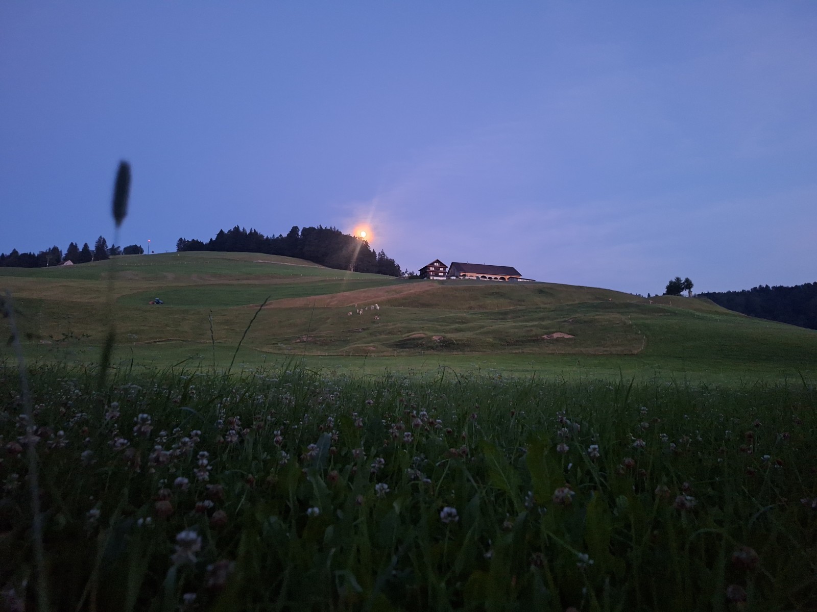 Foto zum Beitrag «weekender 1»